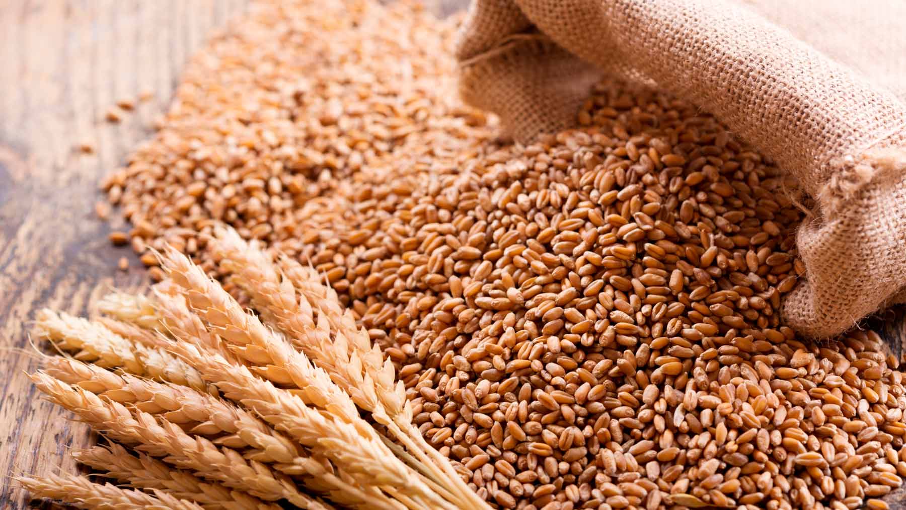 Wheat